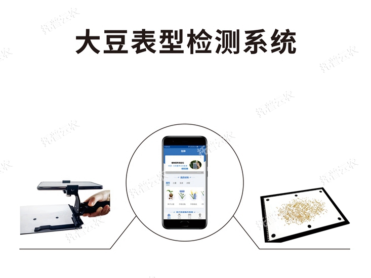 大豆表型檢測(cè)系統(tǒng) TPD-BX-1